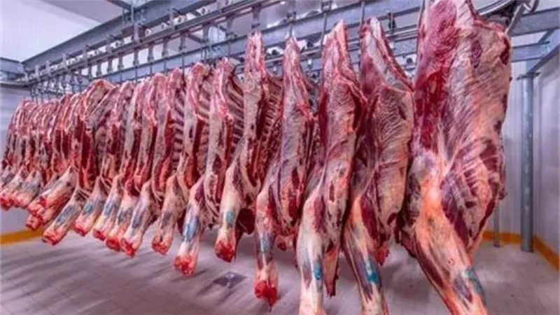 أسعار اللحوم الحمراء في الأسواق اليوم الثلاثاء 21 مارس 