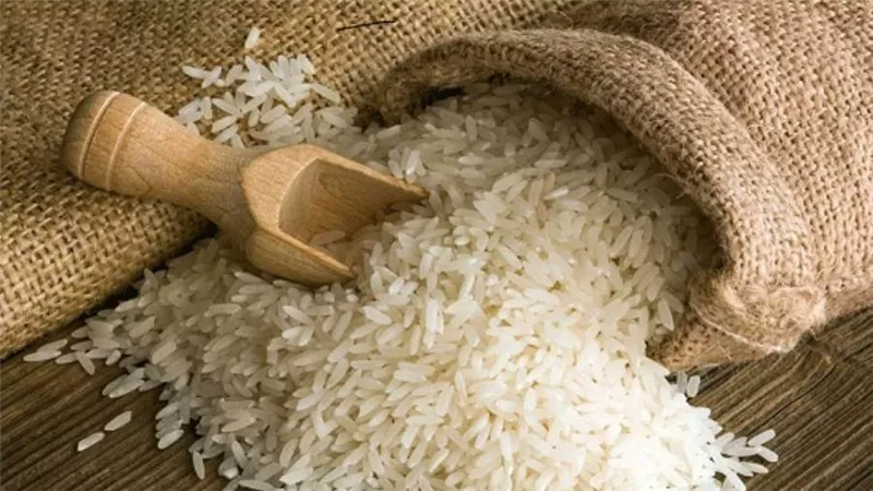 عاجل | حقيقة وجود عجز في الكميات المعروضة من الأرز بالأسواق
