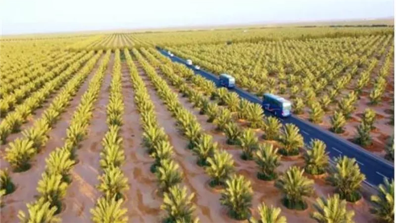 القوات المسلحة تواصل تنظيم الزيارات الميدانية للمشروعات التنموية العملاقة 
