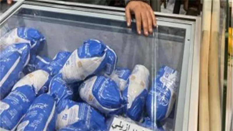 التموين: وصول 806 أطنان من الدواجن المجمدة للموانئ ..غداً 