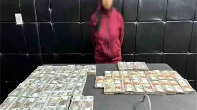التفاصيل الكاملة لضبط المتهمه بسرقة 650 ألف جنيه بمدينة نصر 