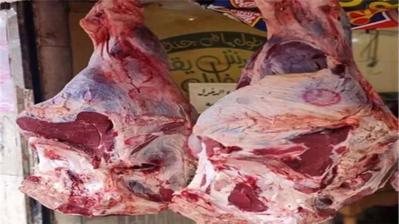 استقرار أسعار اللحوم الحمراء في الأسواق.. والضاني يسجل 220 جنيه 