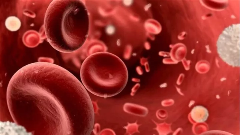 الصحة توجه نصيحة مهمة للمصابين بأنيميا البحر المتوسط 