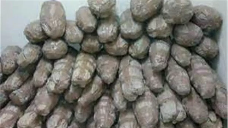 الأمن العام يضبط 14 متهمًا بـ117 كيلو مخدرات في حملات مكثفة بجنوب سيناء 