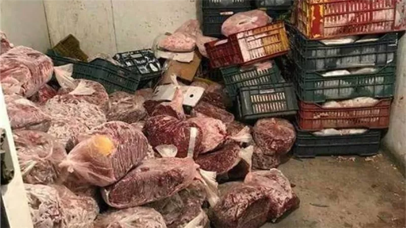 الزراعة: ضبط أكثر من 259 طن لحوم وأسماك فاسدة خلال الربع الأول من العام 