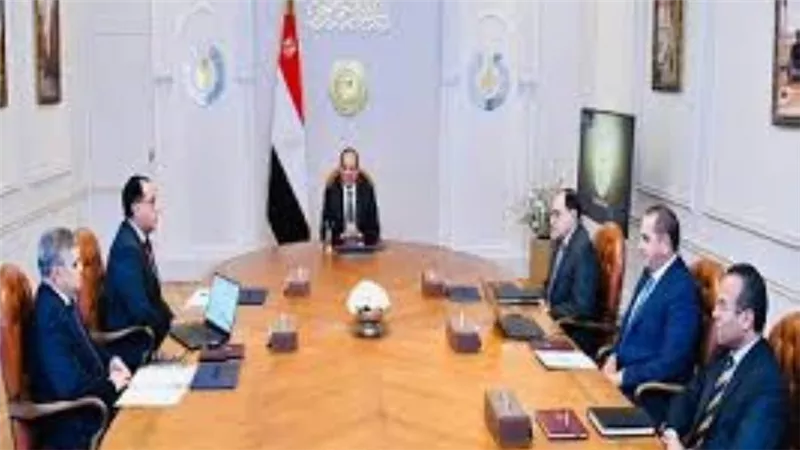 السيسي يوجه بتذليل تحديات توطين صناعة سفن ومراكب الصيد الحديثة في مصر