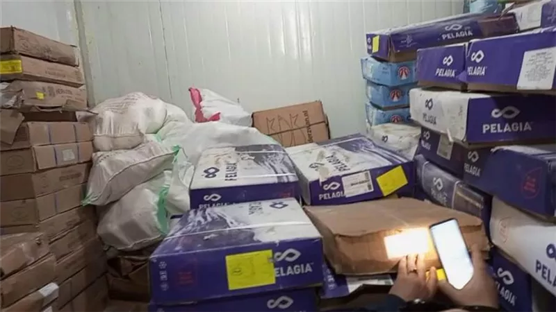 التحفظ على 7 أطنان أسماك ودقيق مجهول المصدر في الدقهلية 