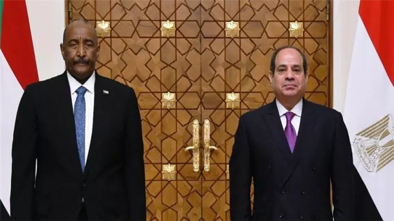 السيسي يؤكد خطورة التداعيات السلبية لتطورات الأوضاع على استقرار السودان