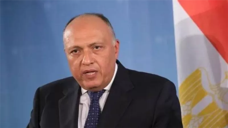 وزير الخارجية ونظيره السعودي يبحثان تطورات الأزمة في السودان