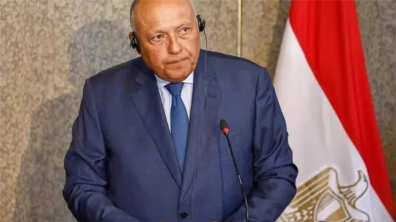 شكري ووزيرة الخارجية الفرنسية يتفقان على ضرورة وقف إطلاق النار في السودان