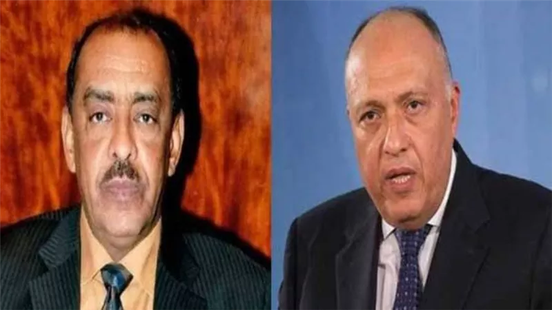 وزير الخارجية ونظيره السعودي يبحثان تطورات الأزمة في السودان