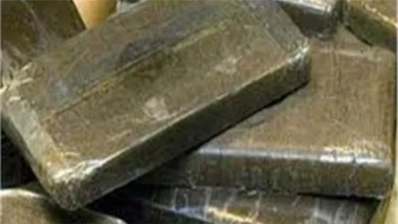 سقوط تاجري مخدرات بحوزتهما 220 طربة حشيش في الإسكندرية