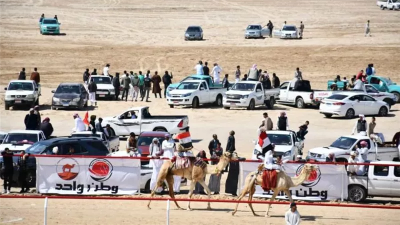 وزراء الرياضة والتضامن والثقافة والتنمية المحلية يفتتحون المهرجان العربي للهجن بشمال سيناء