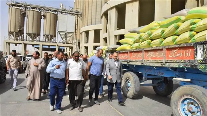 محافظ أسيوط: 28 موقعا لتخزين القمح وارتفاع التوريد لـ2131 طنا 