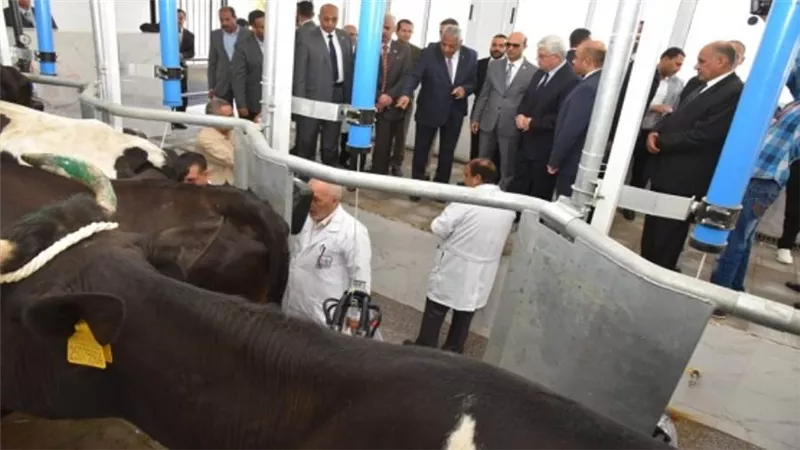 وزير التعليم العالي ورئيس جامعة أسيوط يفتتحان المحلب الآلي بمزرعة الإنتاج الحيواني بـ