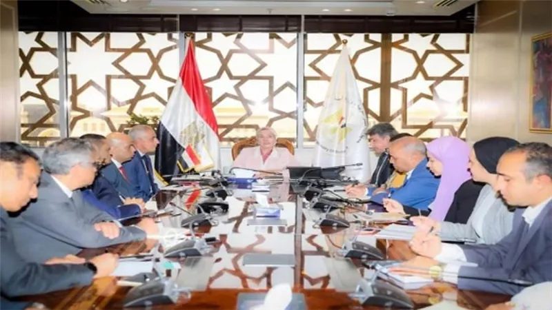 وزيرة البيئة تلتقي عددًا من المستثمرين والشركات العاملة في مجال تحويل المخلفات إلى طاقة