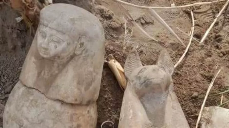 كشف أثري جديد في منطقة إهناسيا ببني سويف يعود لتماثيل أبناء الإله حورس 