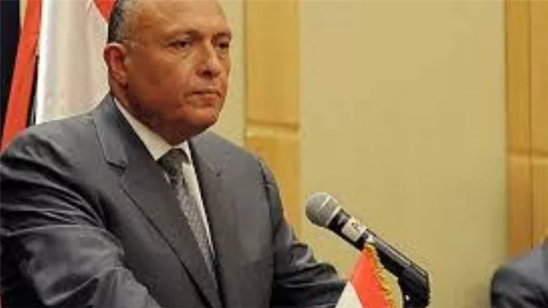 شكري يشارك في الاجتماعات التحضيرية للقمة العربية بالسعودية