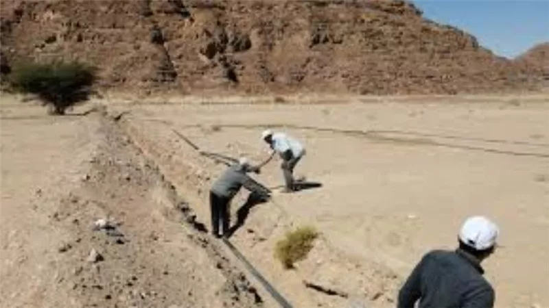 الزراعة والبترول تنفذان مشروعات تنموية بوادي فيران