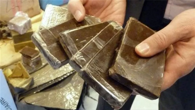 أباطرة الحشيش والهيروين.. حبس 240 ديلر أسقطتهم الداخلية في «كعابيش»
