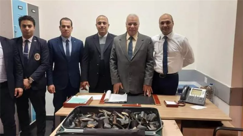  3 ركاب يهربون مخدرات وعملات أثرية وعاج سن الفيل
