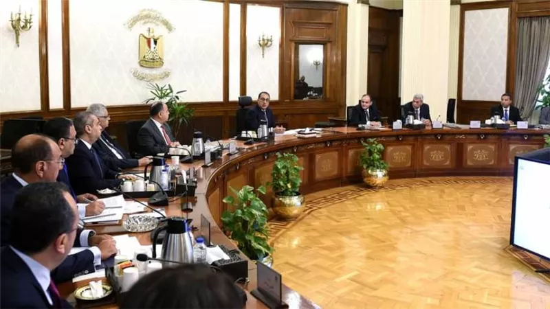 رئيس الوزراء يناقش إجراءات دعم وتحفيز صناعة الدواء