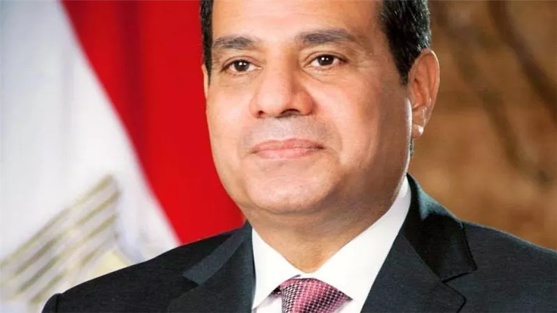 الرئيس السيسى يوجه بالتكفل بحالة طفل متسرب من التعليم 
