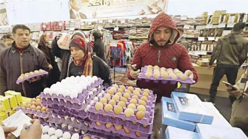 الزراعة: نسبة التخفيضات بمنافذ مبادرة خير مزارعنا لأهالينا تصل لـ40%