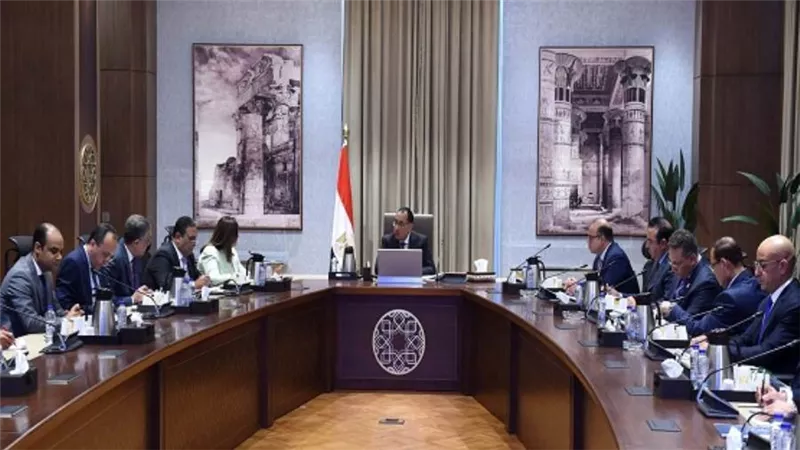 رئيس الوزراء يلتقي عددا من المصريين بالخارج بهدف تأسيس شركة 