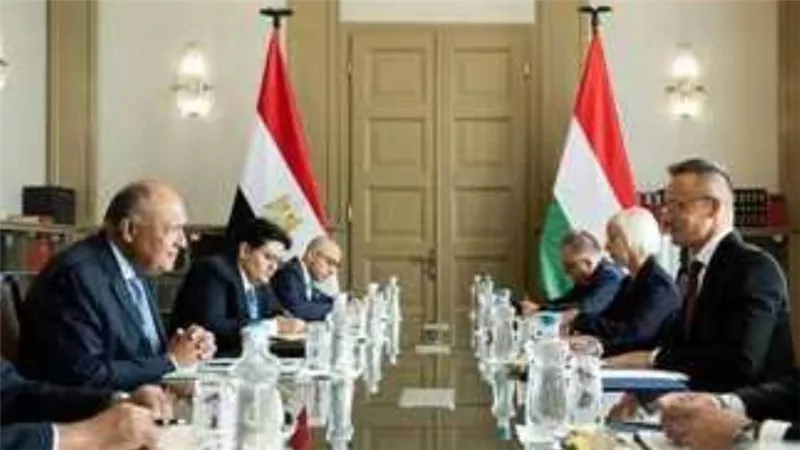 وزير الخارجية يجري مباحثات مع نظيره المجري ببودابست