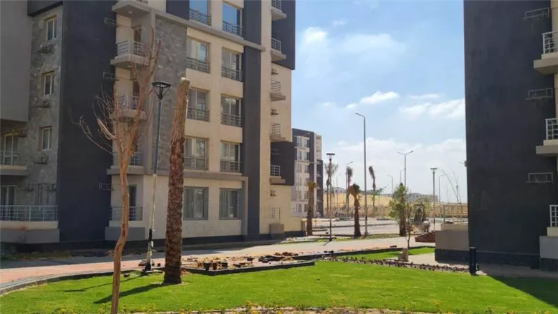 رئيس جهاز 