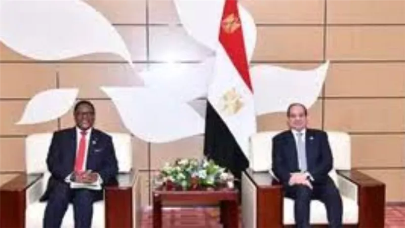رئيس مالاوي: تقدير عميق لـ مصر لدورها الرائد في قيادة دفة العمل الأفريقي
