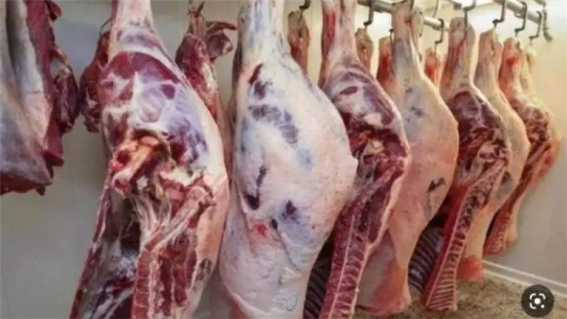بشرى من رئيس جهاز تنمية التجارة الداخلية عن أسعار اللحوم