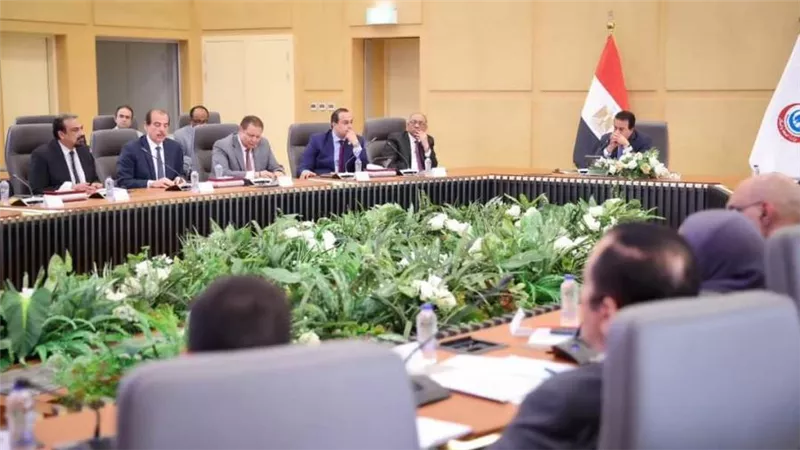  وزير الصحة يتابع أعمال اللجنة العليا لـ«المؤتمر العالمي للسكان والصحة والتنمية»