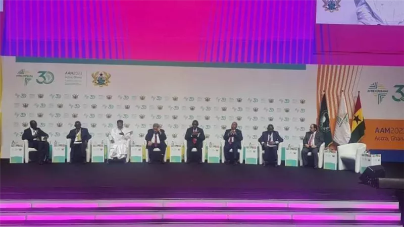 وزير المالية: «هيكل مالي إفريقي» أكثر قدرة على التعامل بآليات مرنة مع الصدمات الخارجية
