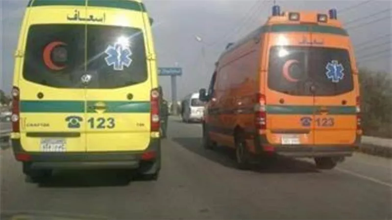 فتح تحقيق في العثور على سائق متوفى بطريق قرية بالغربية
