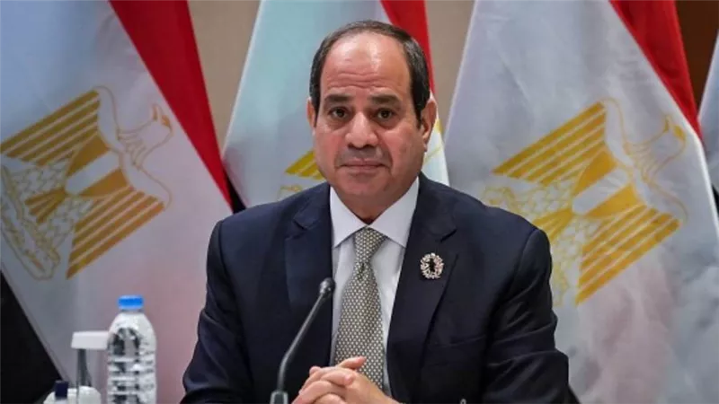 الرئيس السيسي يبحث مع نظيره الجنوب إفريقي تعظيم الاستفادة من إمكانات البلدين