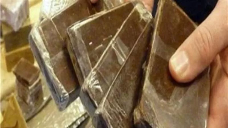 سقوط تاجري مخدرات بـ22 كيلو حشيش بالإسكندرية