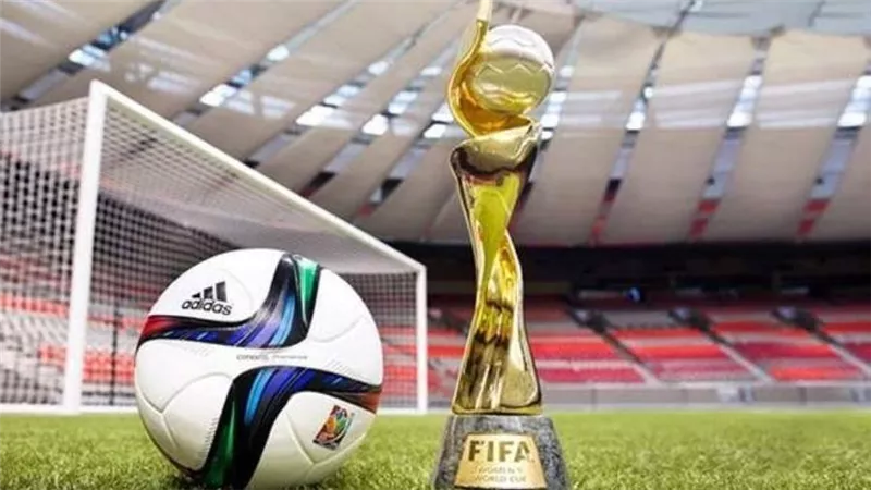 بالاشتراك مع نيوزيلندا.. أستراليا تفكر في طلب استضافة كأس العالم للأندية 2029
