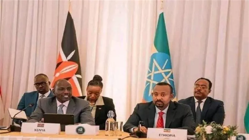 بعد انسحاب الوفد السوداني، قمة إيجاد تؤكد رفض الحل العسكري