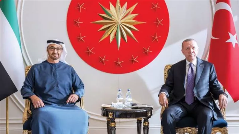 لتعزيز التعاون الثنائي .. رئيس الإمارات يناقش أهم القضايا مع أردوغان