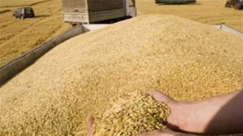 روسيا تعلن البحر الأسود منطقة خطرة ووقف تصدير الحبوب بدءًا من الغد
