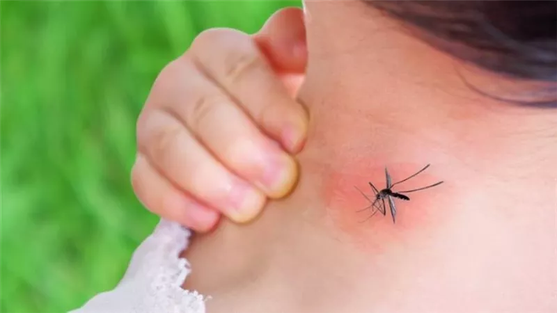 الصحة العالمية تحذر من تفشي قياسي لـ حمى الضنك خلال العام الجاري 