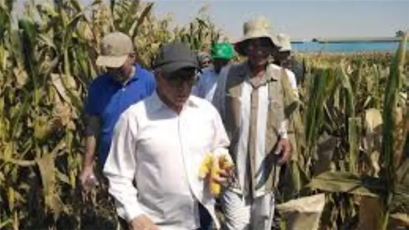 رئيس البحوث الزراعية يزور بني سويف لتفقد برامج الأصناف الجديدة للمحاصيل الصيفية