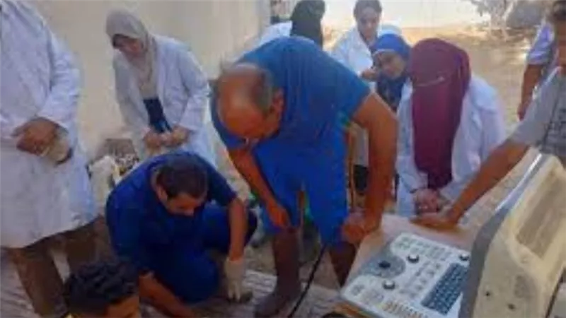 بإجمالي 3800 رأس ماشية.. التناسليات الحيوانية يطلق قافلة بيطرية مجانية بالقليوبية