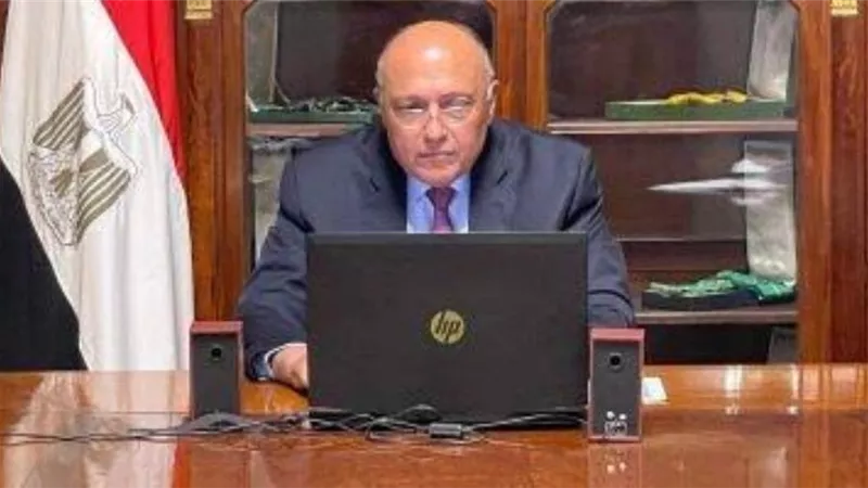 وزير الخارجية يبحث مع نظيرته الإندونيسية العلاقات بين البلدين والقضايا ذات الاهتمام المشترك