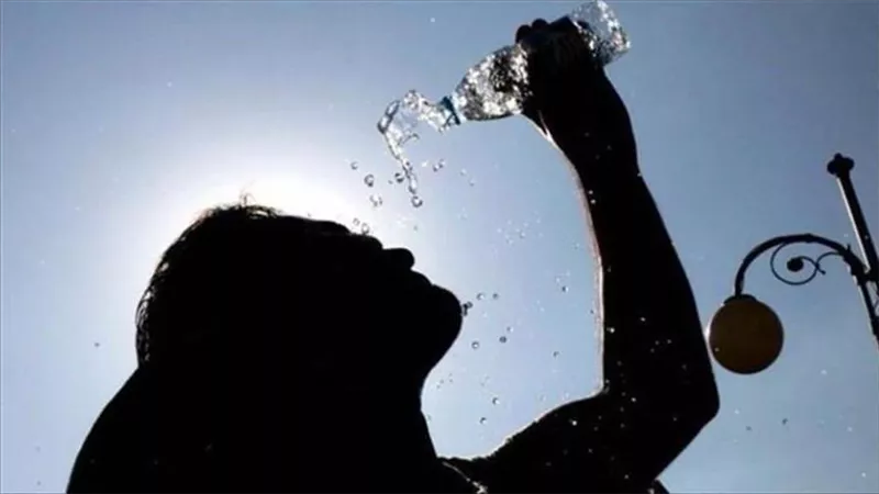 الأرصاد: تحسن ملحوظ فى الأحوال الجوية.. فيديو