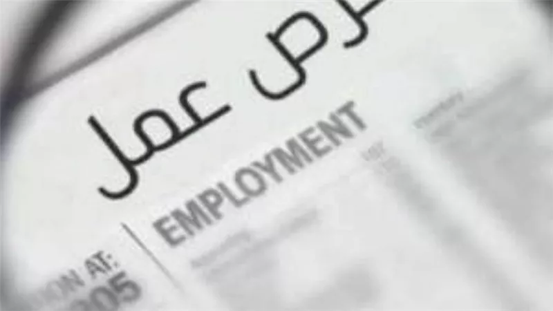 برواتب مجزية.. محافظة الجيزة تعلن وظائف جديدة للشباب 