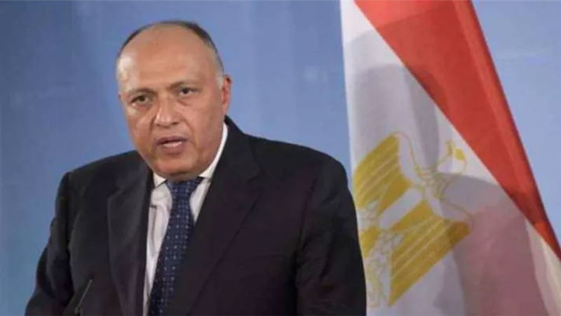 شكري: أكدنا باجتماع لجنة الاتصال العربية ضرورة الحفاظ على وحدة الأراضي السورية