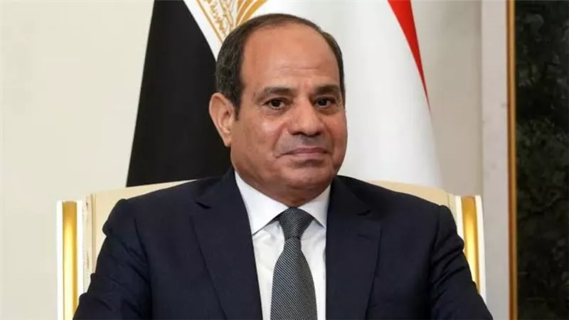 السيسي يكشف السبب الحقيقي وراء انقطاع الكهرباء